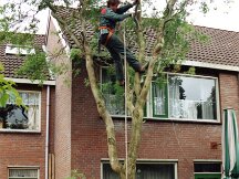 img050