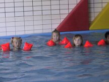 103-0375_img
