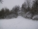 110-1065_img