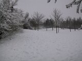 110-1067_img