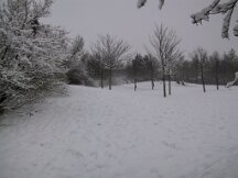 110-1067_img