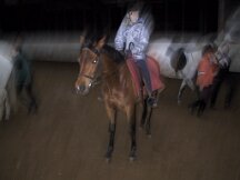 110-1095_img