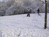 img_1869