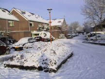 img_1863