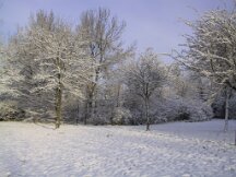 img_1868