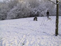 img_1869