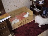 img_0206