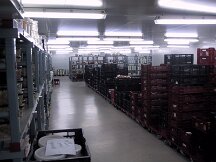 img_0218