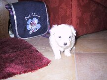 img_0254