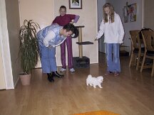 img_0352