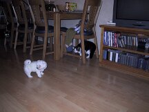 img_0353