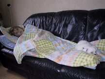 img_0407