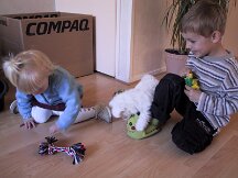 img_0415