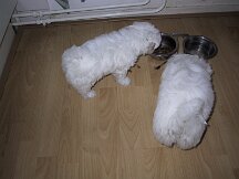 img_0420
