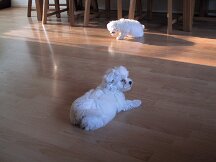 img_0422