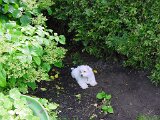 dsc00040