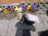 dsc00043
