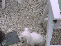 dsc00065