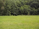 107-0708_img