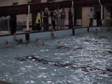 img_0926