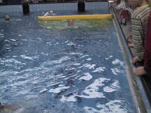 img_0930