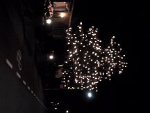 img_1091