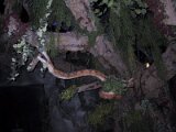 img_1103