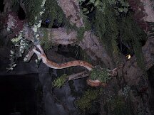 img_1103