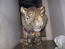 img_1110