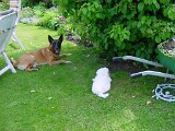 05-11-Daisy-op-Ntb-met-Vasco-Moederdag