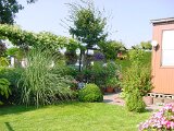 dsc00058