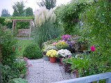 dsc00118