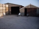 img_0665