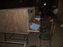 img_0651