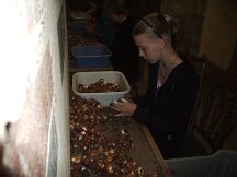 img_0663