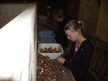 img_0664