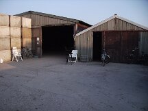 img_0665
