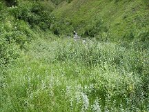 img_1270
