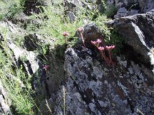 img_1307