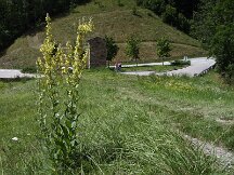 img_1315