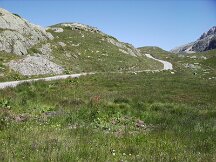 img_1427