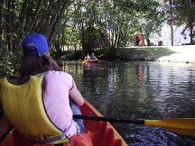 img_1558