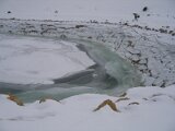 img_0030
