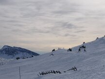 img_0019