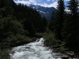 img_2186