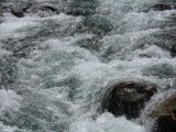 img_2190