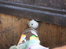 img_1179