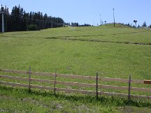 img_1241