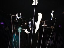 img_1557