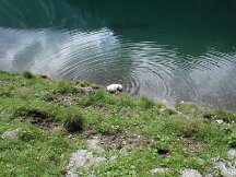 img_1818